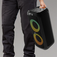 Majority P300 Party Speaker 300W Karaoke &amp; PA System