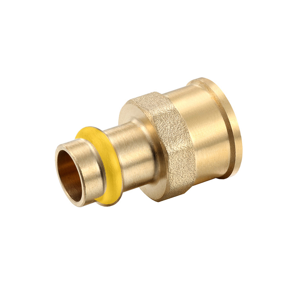 Female Coupling DN20 X 3/4FI